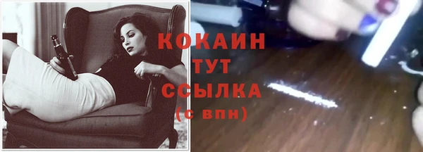 мяу мяу мука Алексин